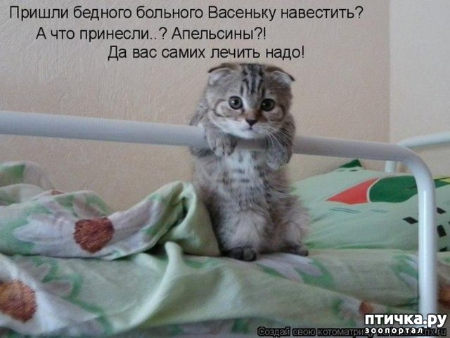 ���� 3: ��������� �����������: ��� �������� ����������!