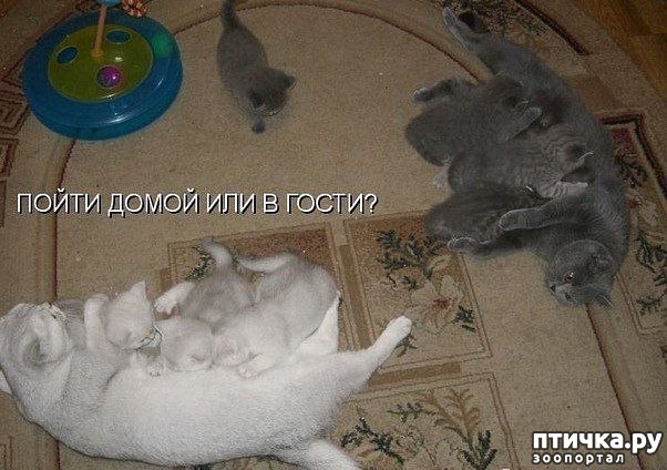 ���� 4: ��������� �����������: ��� �������� ����������!