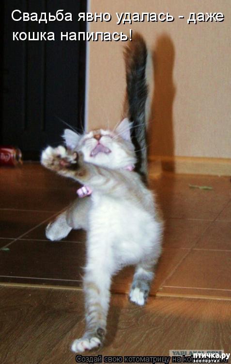 ���� 5: ��������� �����������: ��� �������� ����������!