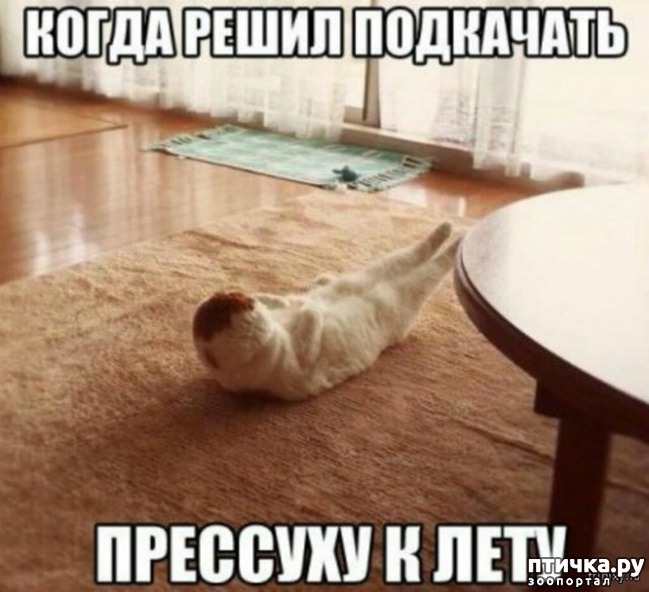 ���� 6: ��������� �����������: ��� �������� ����������!