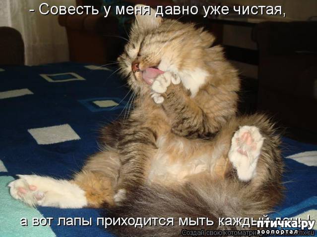 ���� 7: ��������� �����������: ��� �������� ����������!