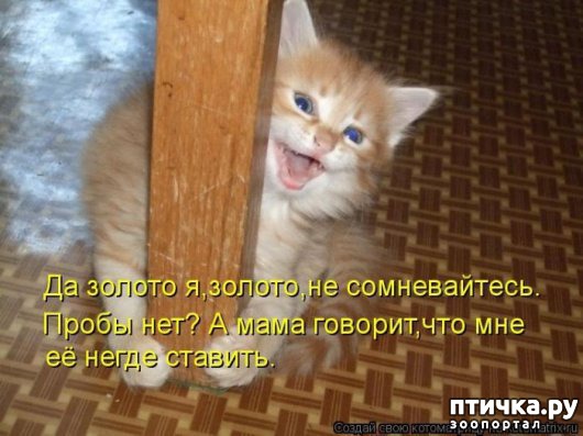 ���� 8: ��������� �����������: ��� �������� ����������!