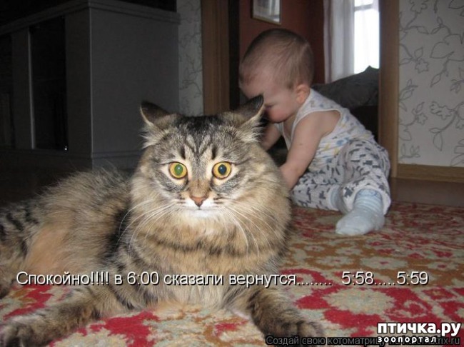 ���� 9: ��������� �����������: ��� �������� ����������!