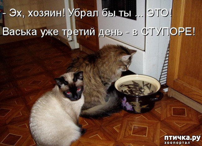 ���� 13: ��������� �����������: ��� �������� ����������!