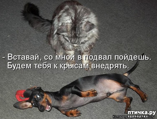 ���� 15: ��������� �����������: ��� �������� ����������!