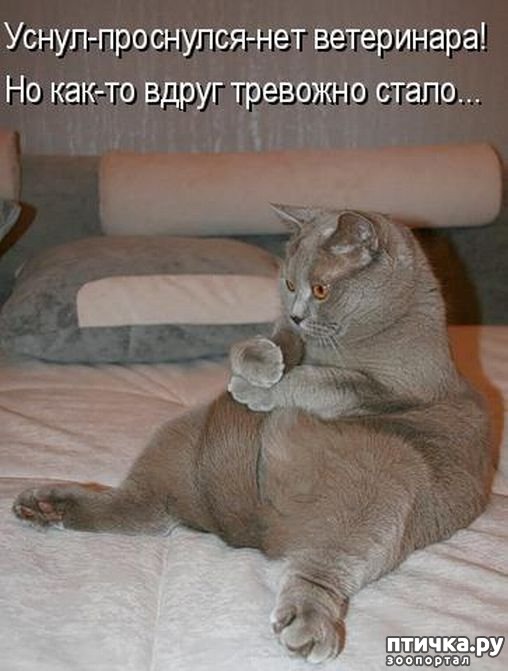 ���� 16: ��������� �����������: ��� �������� ����������!