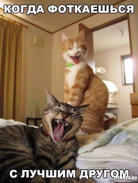 ���� 17: ��������� �����������: ��� �������� ����������!