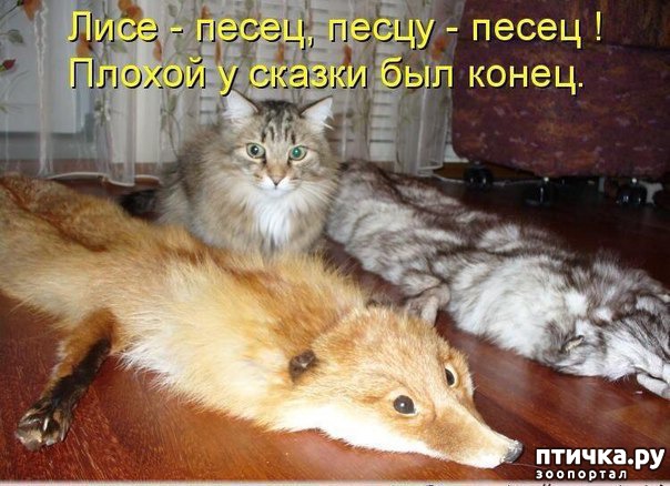 ���� 18: ��������� �����������: ��� �������� ����������!