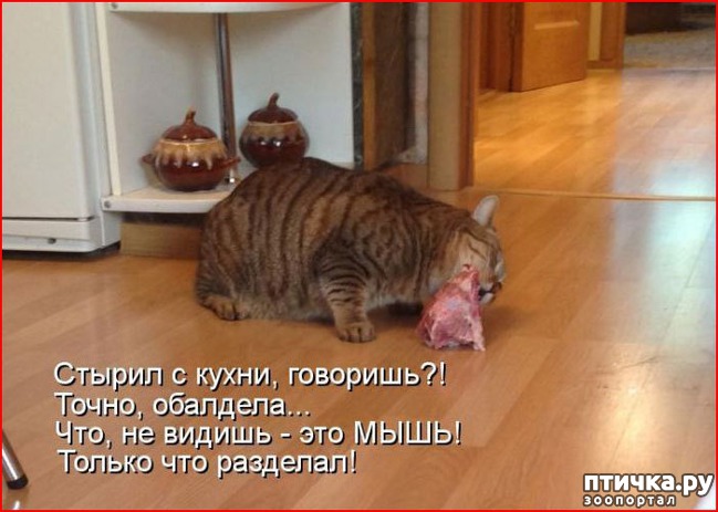 ���� 19: ��������� �����������: ��� �������� ����������!