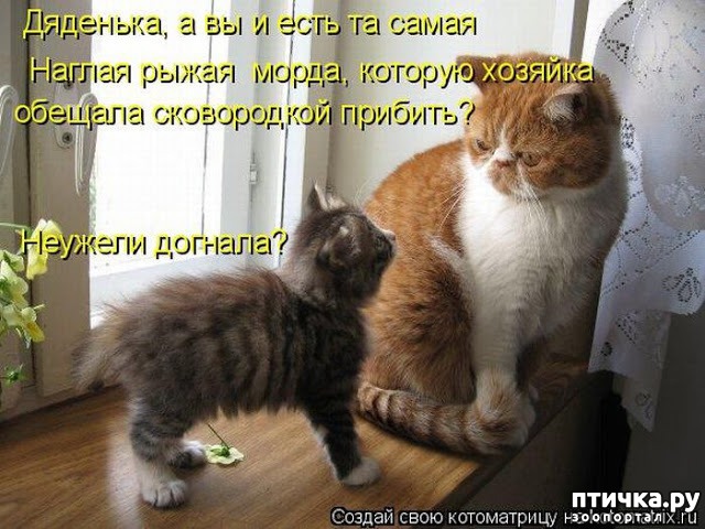 ���� 20: ��������� �����������: ��� �������� ����������!