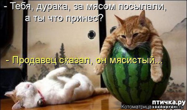 ���� 21: ��������� �����������: ��� �������� ����������!