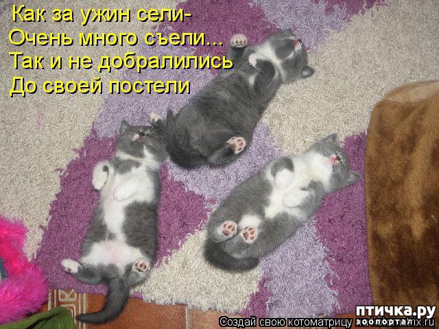 ���� 22: ��������� �����������: ��� �������� ����������!