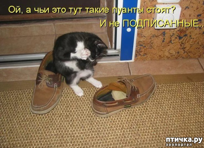 ���� 24: ��������� �����������: ��� �������� ����������!