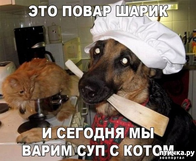 ���� 26: ��������� �����������: ��� �������� ����������!