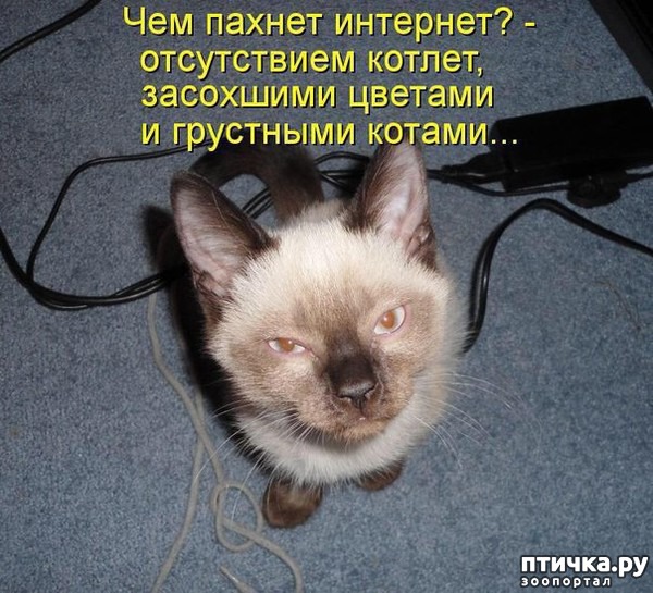 ���� 27: ��������� �����������: ��� �������� ����������!