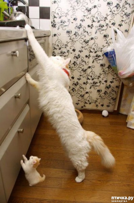 ���� 28: ��������� �����������: ��� �������� ����������!