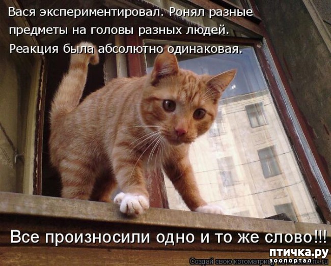 ���� 29: ��������� �����������: ��� �������� ����������!