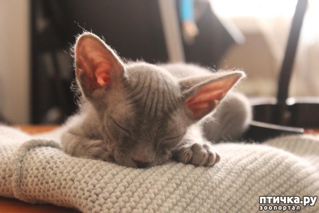 ���� 1: ��� 