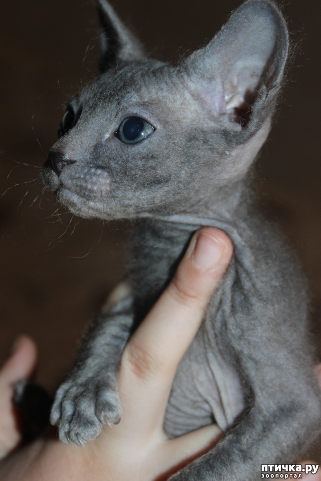 ���� 2: ��� 