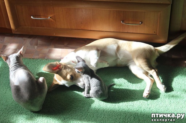 ���� 3: ��� 