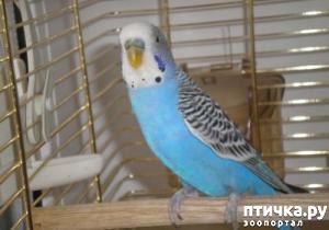 ����: ���