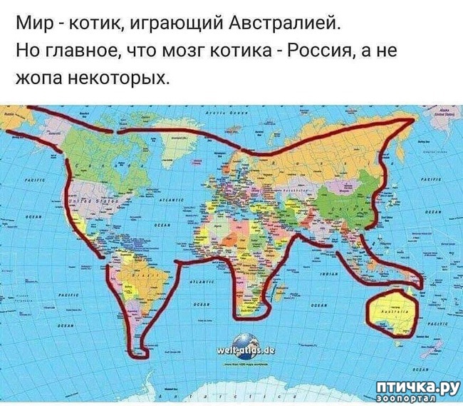 ���� 1: ����� � �������))