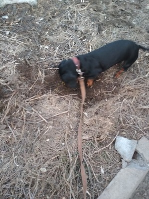 ����: ��� ����� ���� �����������