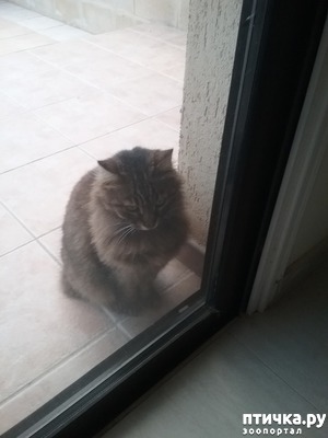 ����: ��������� ��������