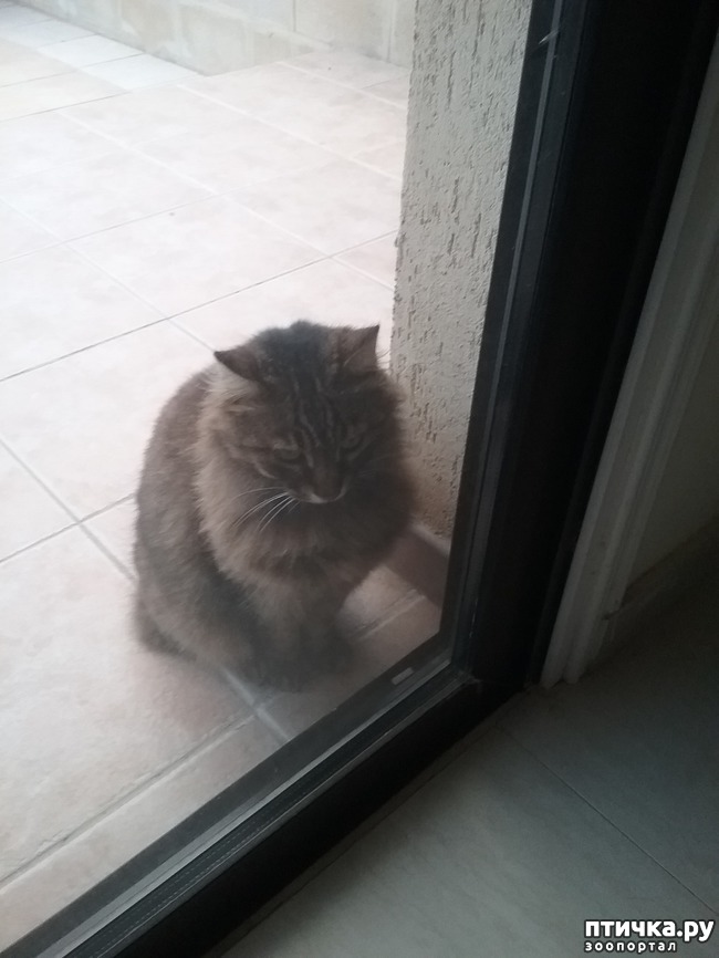 ���� 1: ��������� ��������