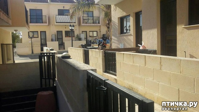 ���� 2: ��������� ��������