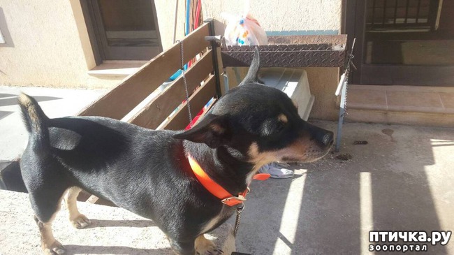 ���� 3: ��������� ��������