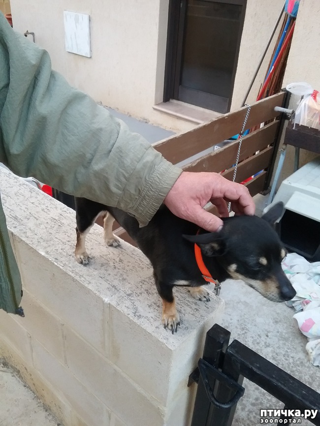 ���� 4: ��������� ��������