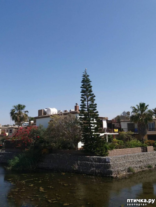 ���� 5: ��������� ��������