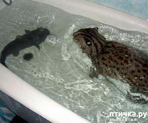 ����: �� ��� ����� ������ ����