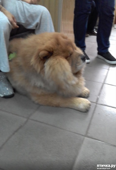 ���� 6: ����� ������� ��������.