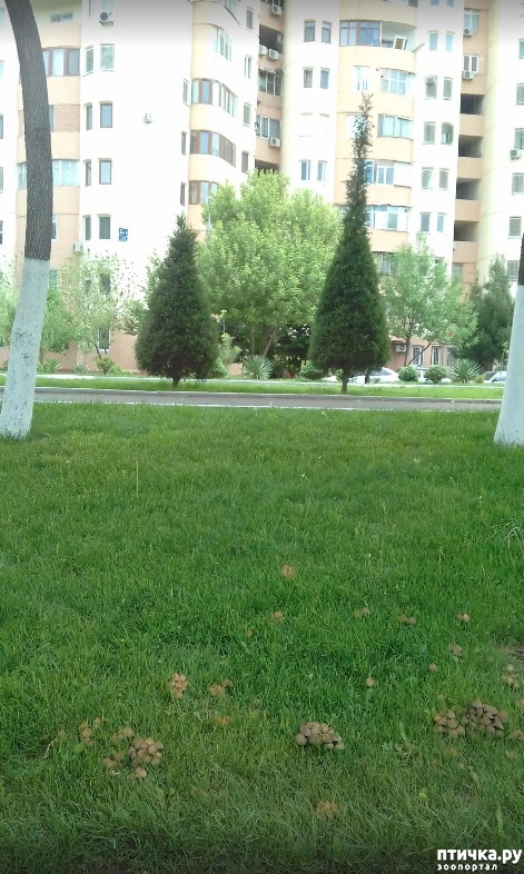 ���� 7: ����� ������� ��������.