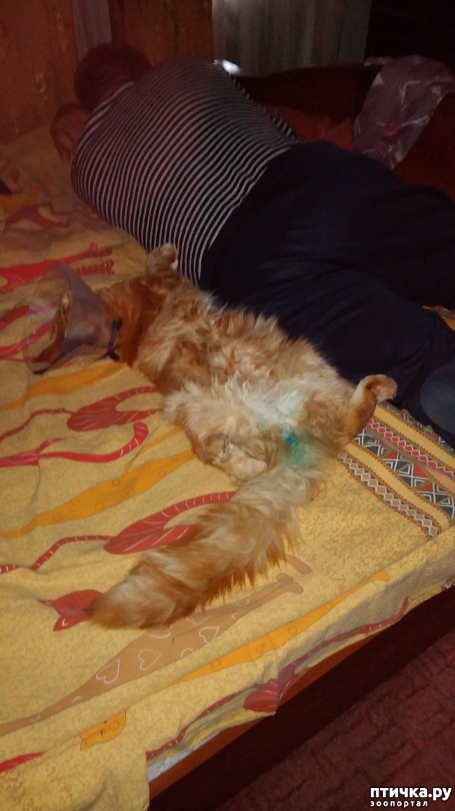 ���� 2: ��� ������������))