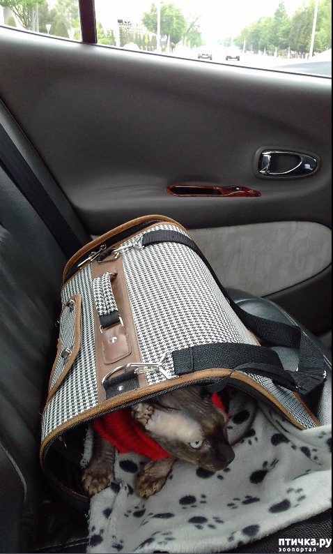 ���� 1: ����� ������� ��������.