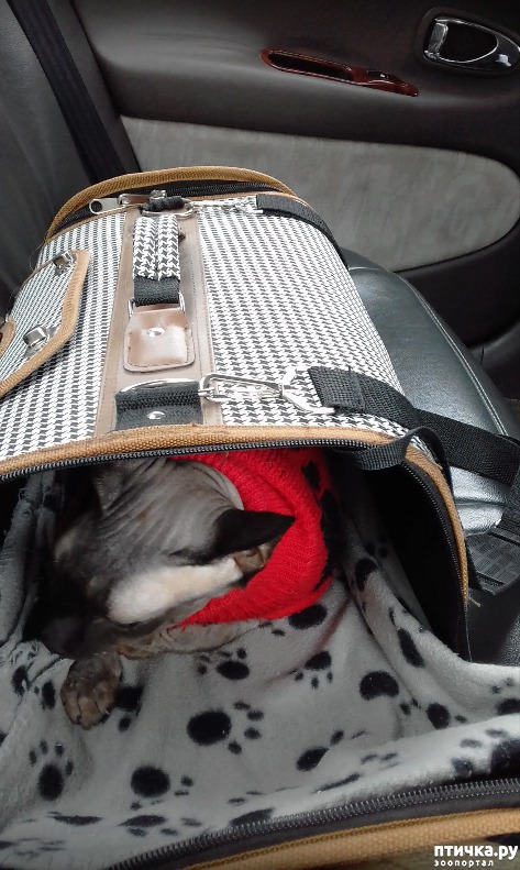 ���� 2: ����� ������� ��������.