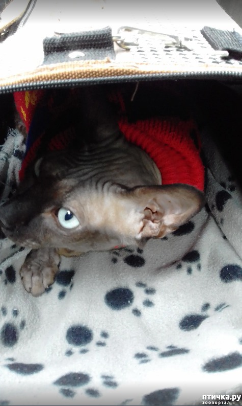 ���� 3: ����� ������� ��������.