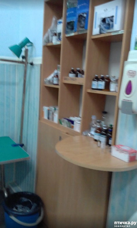 ���� 5: ����� ������� ��������.