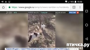 ����: ����� � ���� ������� �����