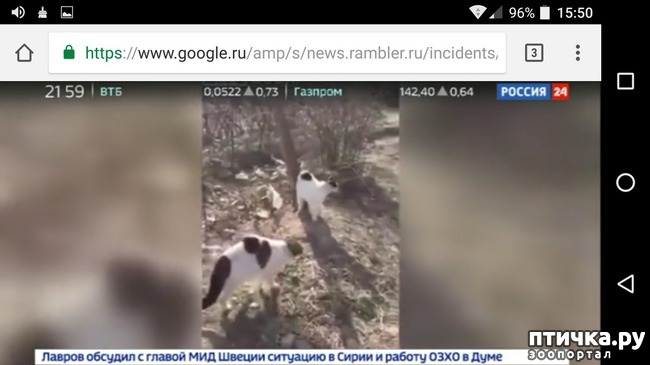 ���� 1: ����� � ���� ������� �����