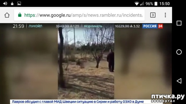 ���� 2: ����� � ���� ������� �����