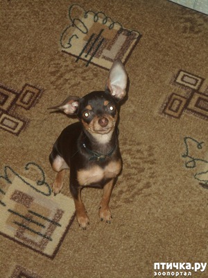 ����: ��� ������� ������ ����� ����?