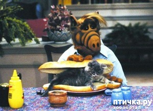 ����: 9 ������ �� ����� �����