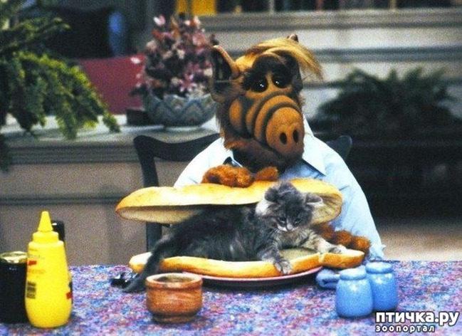 ���� 1: 9 ������ �� ����� �����