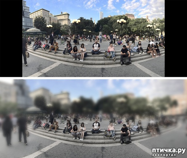 ���� 2: 9 ������ �� ����� �����