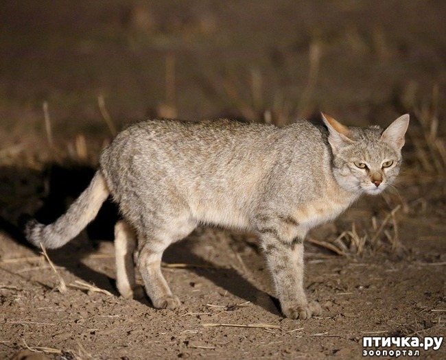 ���� 4: 9 ������ �� ����� �����