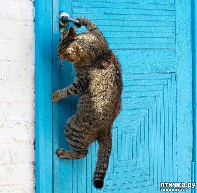 ���� 5: 9 ������ �� ����� �����